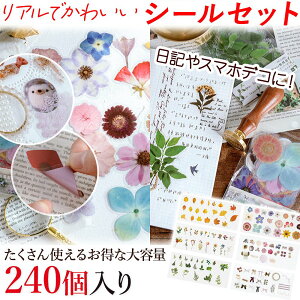 XebJ[  240 킢 V[ A e X}z fR t[NV[  \ t[   { {^jJ 莆 lC i`  L ς q 