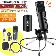 コンデンサーマイク USB式 高音質 ノイズキャンセル ノイズキャンセリング エコー ミュート スタンド ゲ…