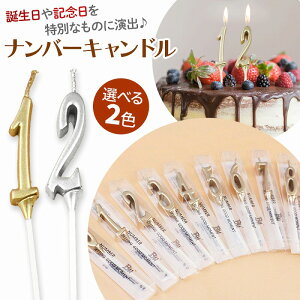 Lh 낤 o[Xf[ Ajo[T[ SNS io[ S[h Vo[ CeA Cxg  VN P[Xt   グ