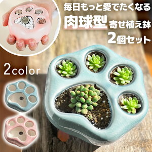  A 񂹐A  2Zbg A 񂹐A  L   sN u[ CeA O[ ϗtA  ~jTCY RpNg Mtg