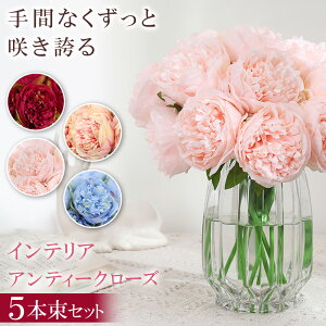 u[P  EGfBO AeB[N [Yu[P ԑ  ݃J[ i` Eh^u[P ԃu[P KN [Y o VNt[