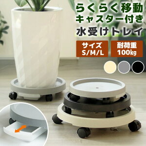  󂯎M ϗtA LX^[t g[ gC Aؔ v^[ 3J[  t[X^h LX^[  u O | ړ 