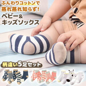 xr[ LbY \bNX 5Zbg C  Rbg Aj}  {[_[  n[g  hbg  j̎q ̎q xr[\bNX xr[C