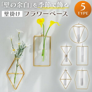 Ǌ|֑} t[x[X k ؍CeA EH[fR A[g 􉽊w  X^CbV ԕr KX hCt[ tFCNO[ 