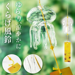 炰  KX IV NA    ݂艺 ӂ EBh`C KX׍H  nhCh 킢  F 蕨