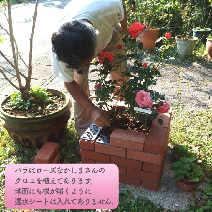 楽天市場】らくらくレンガ/バラのレイズドベッド50cm角5段セットカラー 