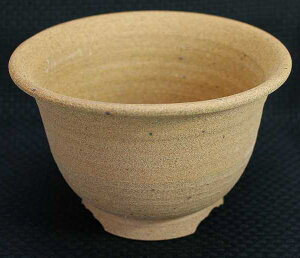 낭҂ R쑐 Aؔqvq Aؔ ĕ