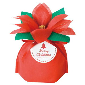 |CZ`AobONX}X200mmx245mmx80mmMtgobO  v[g bsO