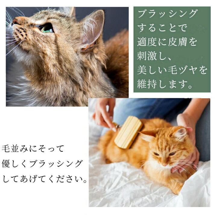 Redecker レデッカー 高級天然木キャットブラシ 豚毛 グルーミング 猫用ブラシ 天然素材 おしゃれ 高級雑貨 491019 ナチュラル ペット用 ドイツ くし クシ ペット用品 抜け毛 ブナ 猫 ネコ 猫用 キャット 天然木 お洒落 雑貨 北欧 北欧雑貨 職人 ギフト 抜け毛 ... Redecker レデッカー 高級天然木キャットブラシ 豚毛 グルーミング 猫用ブラシ 天然素材 おしゃれ 高級雑貨 491019 ナチュラル ペット用 ドイツ くし クシ ペット用品 抜け毛 ブナ 猫 ネコ 猫用 キャット 天然木 お洒落 雑貨 北欧 北欧雑貨 職人 ギフト 抜け毛 ...