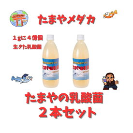 たまやの乳酸菌 2本セット たまやメダカ ぶりぶりブリード 食いつき メダカの餌 めだか販売 卵 送料無料 水草 めだか産卵床 稚魚 産卵 高たんぱく