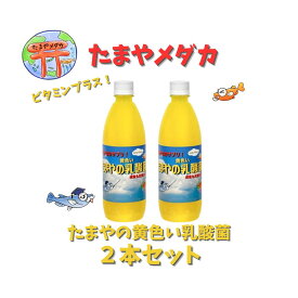 たまやの黄色い乳酸菌　2本セット