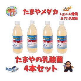 たまやの乳酸菌　4本セット