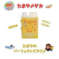 楽天市場】メダカ の 水草の通販