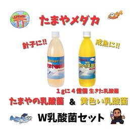 たまやメダカ たまやの乳酸菌 黄色い乳酸菌 ビタミン 食いつき メダカの餌 めだか販売 卵 送料無料 水草 めだか産卵床 稚魚 産卵 高たんぱく