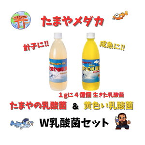 ܂⃁_J ܂̓_ F_ r^~ H _J̉a ߂̔    ߂Y t Y ς