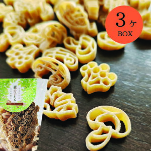 森の子たち 3ヶBOX