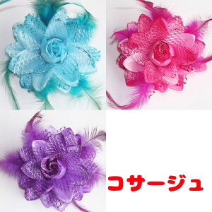 _SiP10{12/7 23:59܂Ł^y  ̕  ߁zRT[W