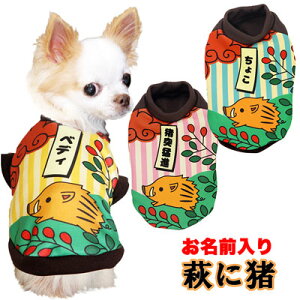 _P5{11/23 23:59܂Ł^y  H~ ̕ ẑO ɒ yhbOEFA ԎD x gCv[h ` _bNX  R[M[ ^xfBz(S/3/RI/H/)