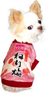 特選チューブ犬