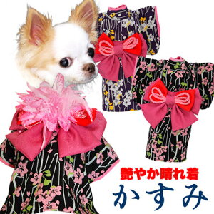 _SiP10{12/7 23:59܂Ł^y  ̕z₩ꒅ  s\tsRT[Wʔt|߂yhbOEFA ybg   ܎O _bNX gCv[h ` 