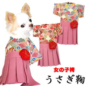 接続 期待 飲食店 犬 袴 作り方 Artevidacooperativa Com