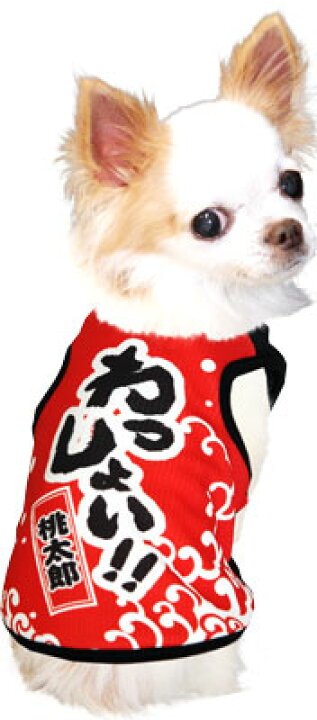 \爆安サマー☆SALE開催中/【犬 服 春夏服用 犬の服 名入れ】ひんやり冷感クール 愛犬のお名前入り わっしょい タンクトップ【ドッグウェア トイプードル チワワ おもしろ ポメラニアン 暑さ対策】【201806】(S/B/T/H/) 犬服専門店TambedyDogWear \爆安サマー★SALE開催中/愛犬のお名前入り 侍ジャワン ベースボールシャツ(S N H