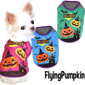 _SiP10{11/10 23:59܂Ł^y  H~ ̕ hbOEFA nEB H ~p {[_[ztCOpvL Vc(3D)yڂ _bNX gCv[h ` 킢 R[M[ 