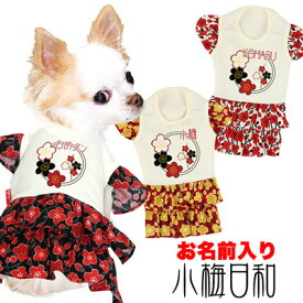 楽天市場 梅 犬用品 ペット ペットグッズ の通販