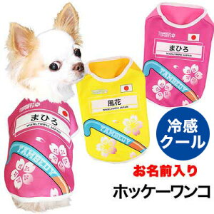 _SiP5{11/8 23:59܂Ł^y  ̕  t ĕ H ~pẑO zbP[RyhbOEFA Ђ ڐG⊴f N[ X|[c {\ ` _bN