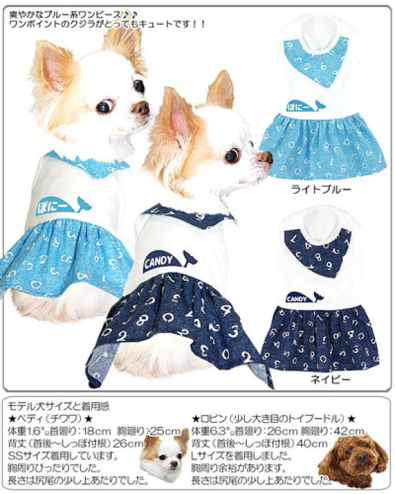 楽天市場 犬 服 犬の服 ドッグウェア 名入れ 愛犬のお名前入り サマーホエール ワンピース 1905 夏 くじら 女の子 ダックス トイプードル チワワ おしゃれ 柴犬 犬服専門店ｔambedyｄogｗear