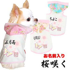 _SiP10{11/6 23:59܂Ł^y  ̕ hbOEFA ẑO 炭 p[J[yybgEFA a gCv[h ` _bNX  pO ^xfBz(O/3/T/H/)