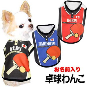 犬 ジャージの通販 価格比較 価格 Com