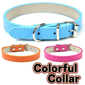 _20NFINALSALE^y  ̕zJtJ[yhbOEFA ybg AEgbg   _bNX gCv[h `  ^xfB ֗ psz[CN]