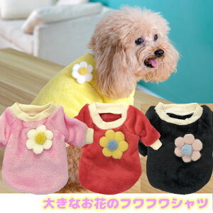 _SiP10{11/3 23:59܂Ł20N^y  ̕z傫ȂԂ̂ӂӂVcyhbOEFA t[X }C[ {A ybg AEgbg _bNX gCv[h `  ^xfB 