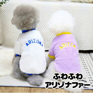 _SiP10{11/3 23:59܂Ł20N^y  ̕ H ~pzӂӂA]it@[yhbOEFA {A }C[t[X pXeJ[ ΍ _bNX gCv[h ` 