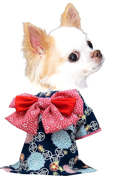 犬 服 コサージュ別売 ダックス チワワ トイプードル 名入れ 朝露 正月 着物 秋冬 艶やか晴れ着 即納 着物