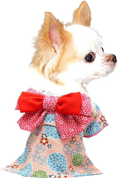 犬 服 コサージュ別売 ダックス チワワ トイプードル 名入れ 朝露 正月 着物 秋冬 艶やか晴れ着 即納 着物