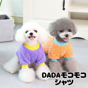 _20NFINALSALE^y  ̕ H ~pzDADARRVcyhbOEFA {A }C[t[X ΍ hbO ybg AEgbg _bNX gCv[h ` ^xfB 