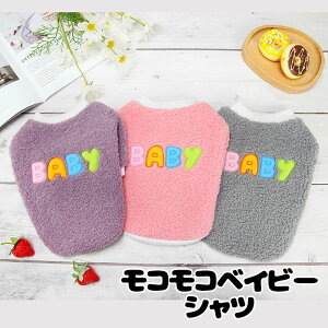 _SiP10{11/3 23:59܂Ł20N^y  ̕ H ~pzRRxCr[VcyhbOEFA {A }C[t[X ΍ hbO ybg _bNX gCv[h ` ^