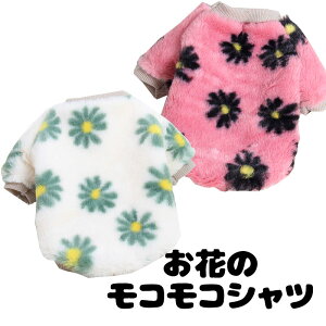 _SiP10{11/6 23:59܂Ł^y  ̕zԂ̃RRVcyhbOEFA ybg AEgbg t[X }C[ {A _bNX gCv[h `  ^xfB 킢 V