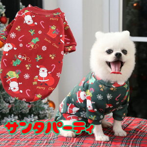 _20NFINALSALE^y  ̕zT^p[eByhbOEFA NX}X T^N[X AEgbg _bNX gCv[h ` ^xfB y }`[Yz[GI][CN]