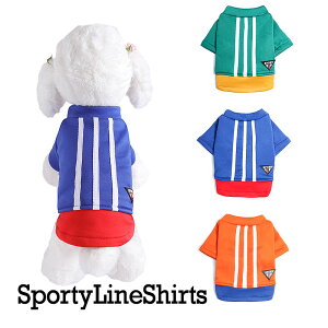 _20NFINALSALE^y  ̕zX|[cCVcyhbOEFA N ybg AEgbg _bNX gCv[h `  ^xfB  pOz[CN]