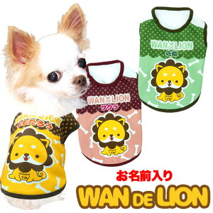 _SiP5{11/8 23:59܂Ł^y  ̕ H ~p ẑO胏fCIyhbOEFA h[ic O ` _bNX gCv[h 킢 }`[Y ^x