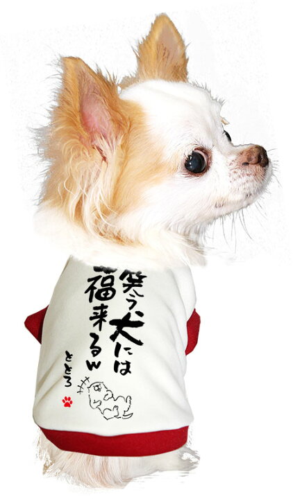 楽天市場 店内全品 ポイント10倍 8 11 23 59まで 犬 服 犬の服 名入れ 秋服 冬服用 愛犬のお名前入り 笑う犬には福来る ドッグウェア ことわざ 文字 笑う門には福来る ダックス トイプードル チワワ タムベディたのしい マルチーズ 2111 Sg 3d 犬服