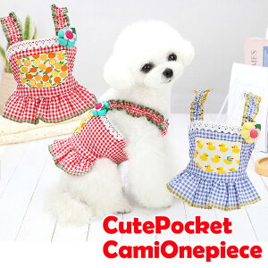 _SiP10{11/10 23:59܂Ł^y ĕ ̕ tpzL[g|PbgL~s[XyhbOEFA ybg MK`FbN _bNX gCv[h `  ^xfB pO t 