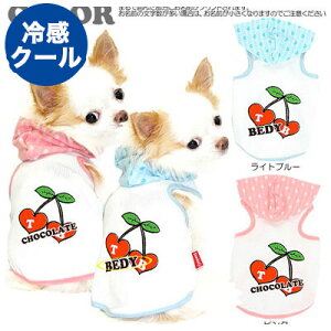 _SiP5{12/8 23:59܂Ł^y ĕ ̕  tpzЂ ڐG⊴f N[ ̂O TB p[J[ yhbOEFA ` _bNX gCv[h 킢