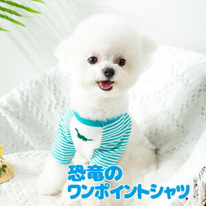 _11/11X^[gSALE^y ĕ ̕ tpzs\t̃|CgVcyhbOEFA ybg  {[_[ _bNX gCv[h `  pO ^