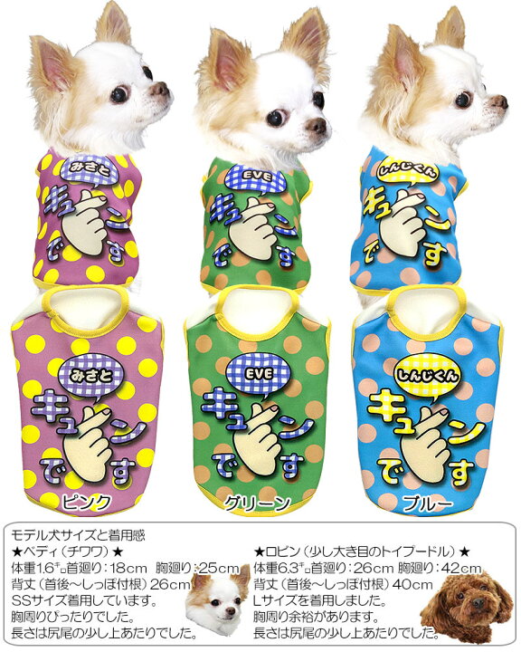 楽天市場】＼全品P5倍+最大2000円OFFクーポン／【犬 服 秋冬 犬の服 名 