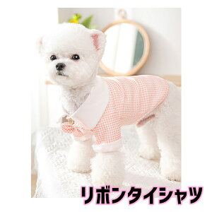 _20NFINALSALE^y ĕ ̕ tpzs\t{^CVcyhbOEFA ybg AEgbg _bNX gCv[h ` ^xfB ₩ V[Y[z[CN]