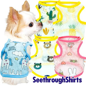 _11/11X^[gSALE^y ĕ ̕ tpzV[X[VcyhbOEFA ybg AEgbg t[c  jR[ _bNX gCv[h `  ^xfB 